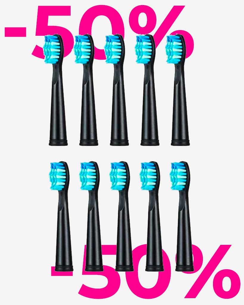 Brosses de remplacement x10